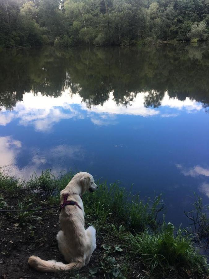MILLIEs hosting - Familienurlaub mit Hund in Kärnten Sankt Paul im Lavanttal Exterior foto