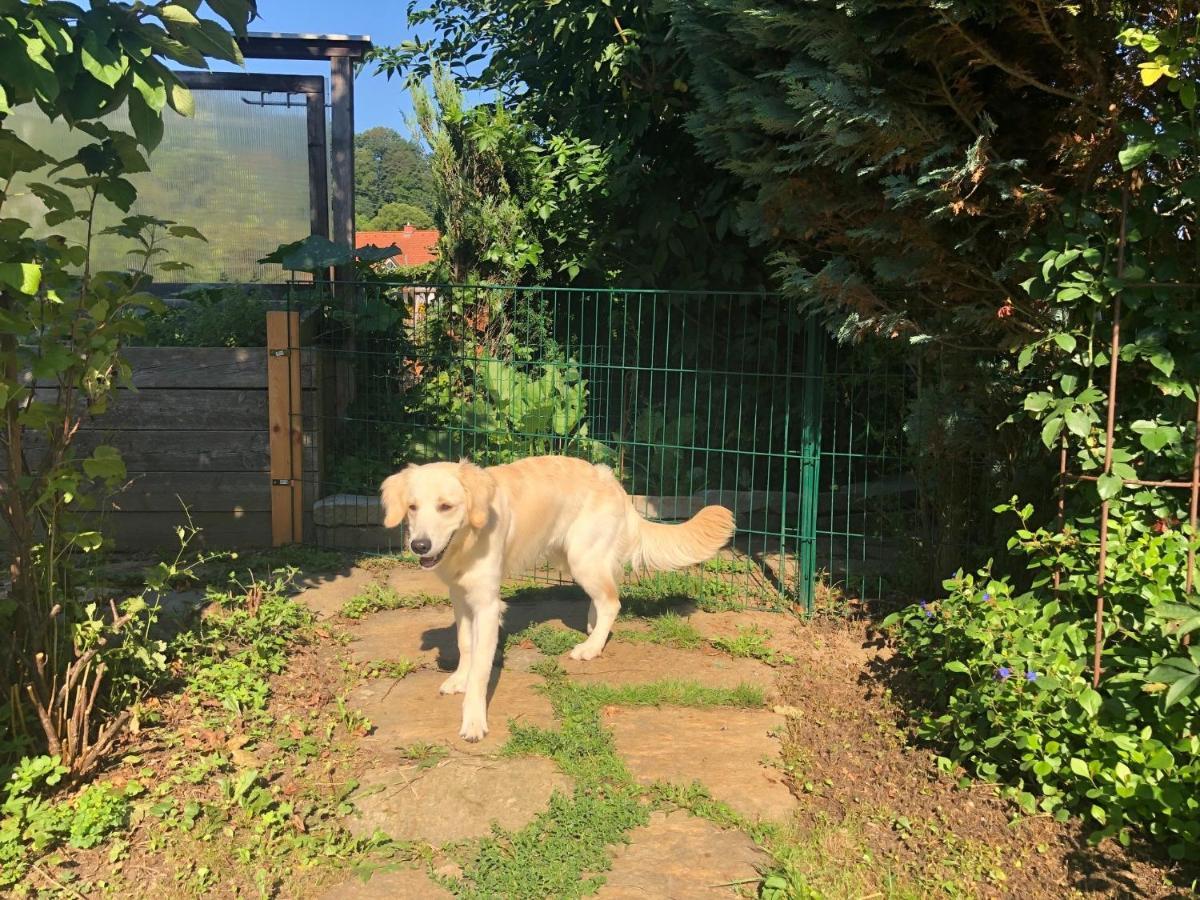 MILLIEs hosting - Familienurlaub mit Hund in Kärnten Sankt Paul im Lavanttal Exterior foto