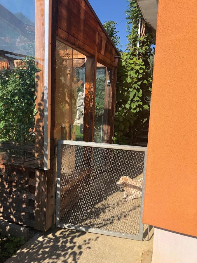 MILLIEs hosting - Familienurlaub mit Hund in Kärnten Sankt Paul im Lavanttal Exterior foto