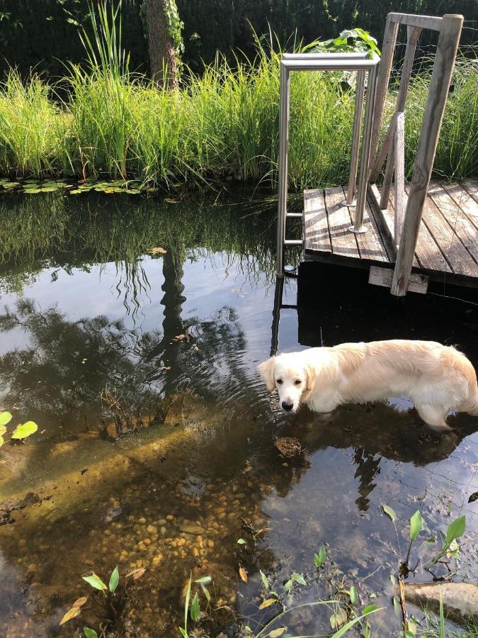 MILLIEs hosting - Familienurlaub mit Hund in Kärnten Sankt Paul im Lavanttal Exterior foto