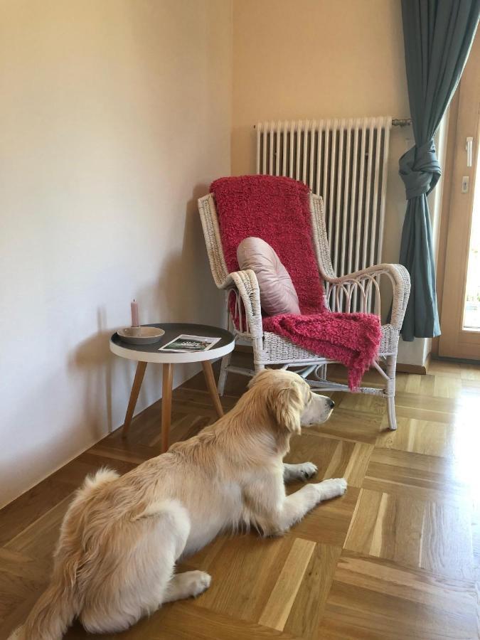 MILLIEs hosting - Familienurlaub mit Hund in Kärnten Sankt Paul im Lavanttal Exterior foto