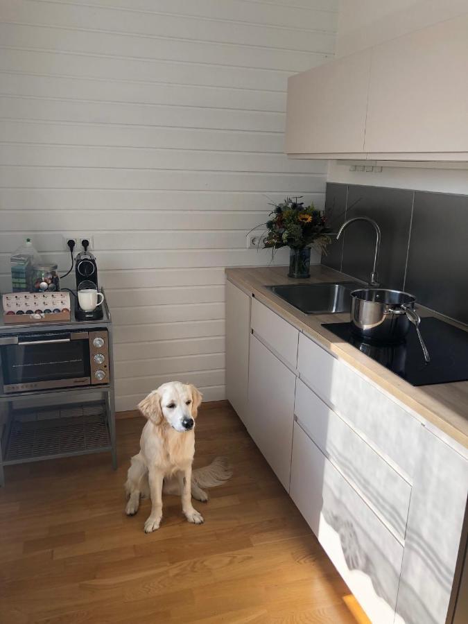 MILLIEs hosting - Familienurlaub mit Hund in Kärnten Sankt Paul im Lavanttal Exterior foto