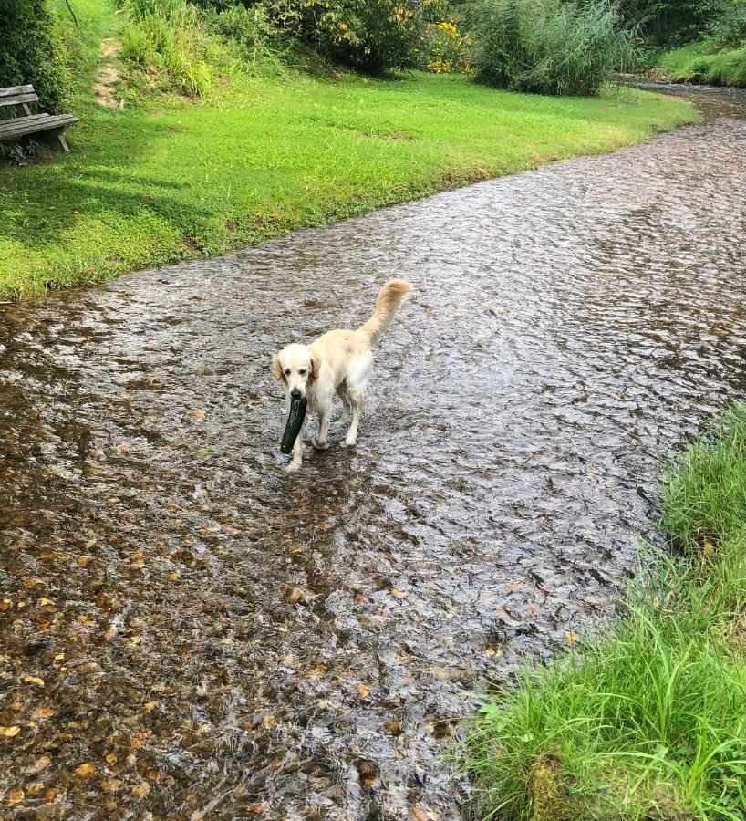 MILLIEs hosting - Familienurlaub mit Hund in Kärnten Sankt Paul im Lavanttal Exterior foto