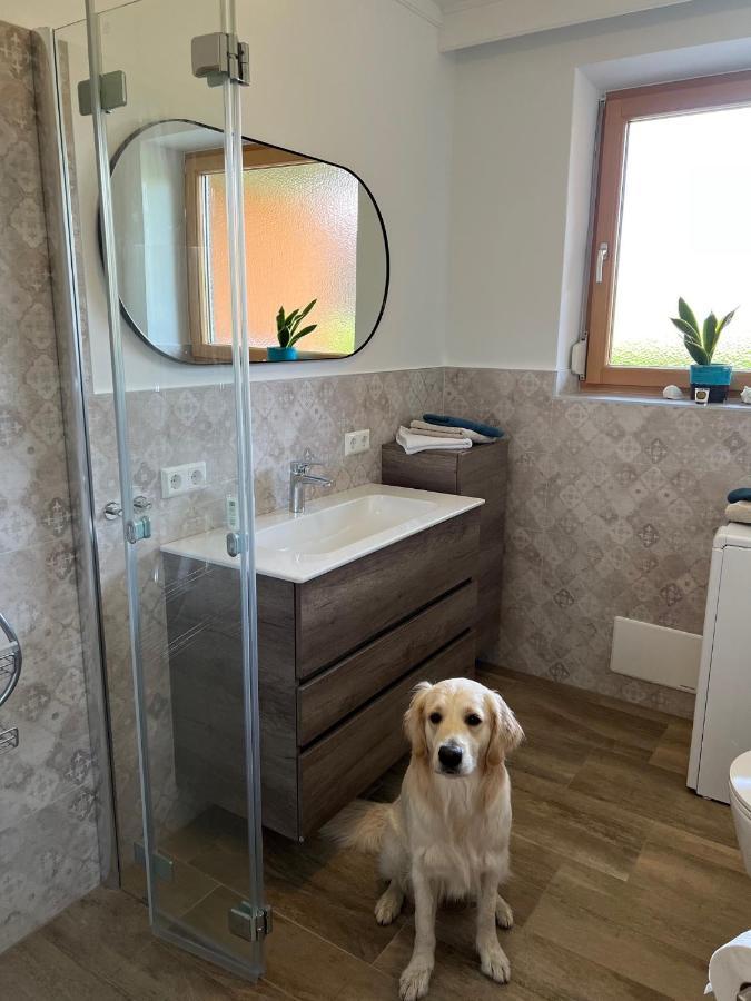 MILLIEs hosting - Familienurlaub mit Hund in Kärnten Sankt Paul im Lavanttal Exterior foto